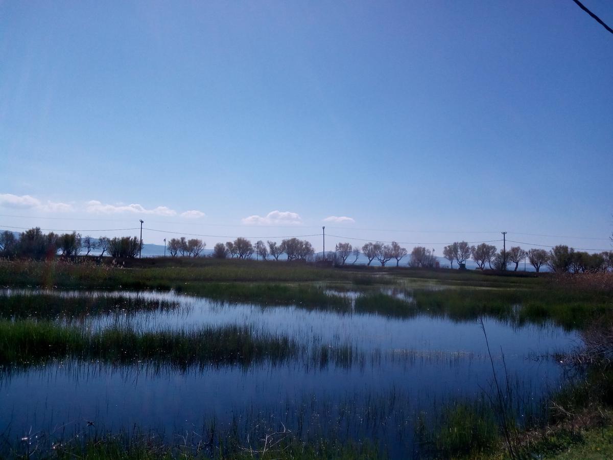 Diamanti Studios Skala Kallonis Bagian luar foto